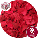 Coloured Sea Shells - Festive Red - 8915
